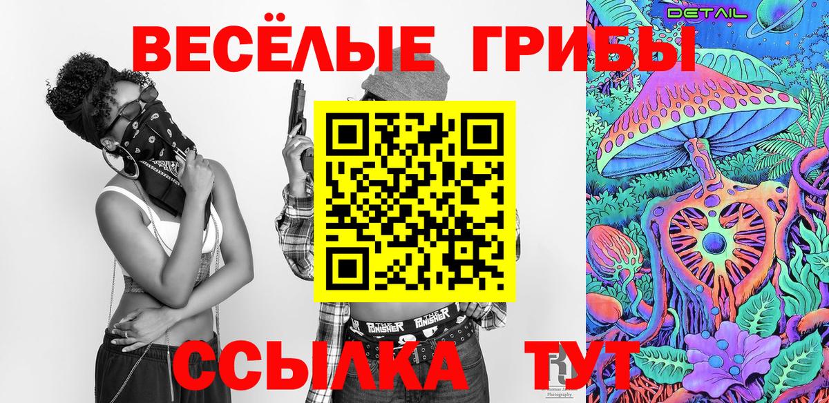Жуковский  Галлюциногенные грибы прущие грибы  Вход с VPN 